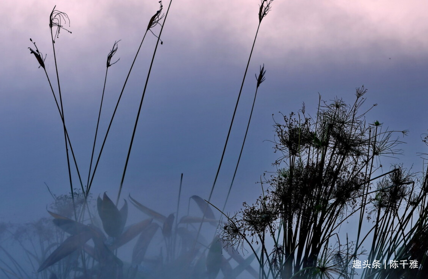 32b294b9268d61e798b6c6c8de6a7fcc.png