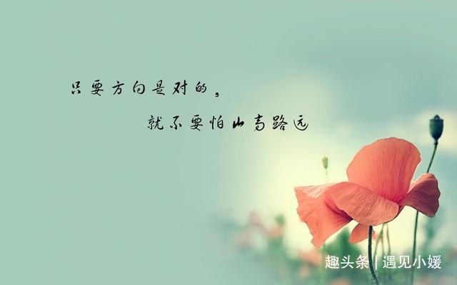{EC194B2B-E1DA-4260-97EC-786E281485DF}.jpg
