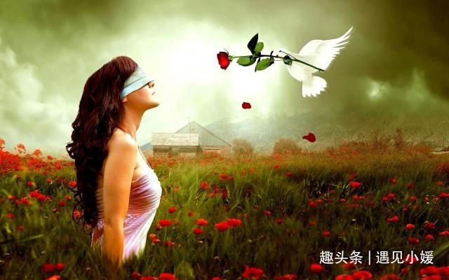 {80962399-F1DB-4F86-8F48-94F5E199A21E}.JPEG