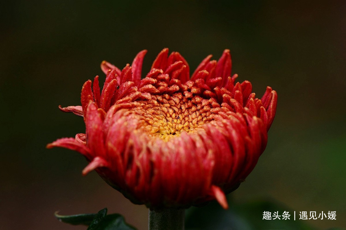 {8558D00B-6AE8-44EE-A900-E740C6B21466}.jpg