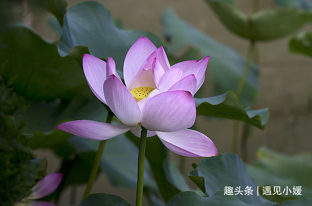 {BB8C4825-46B3-45E1-BCF1-30DB22391332}.jpg
