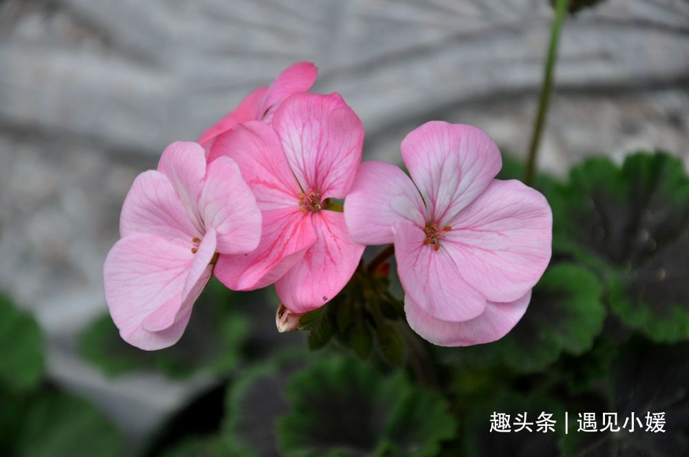 {A6B4C841-F331-42A3-A17A-04CD85B51D28}.jpg