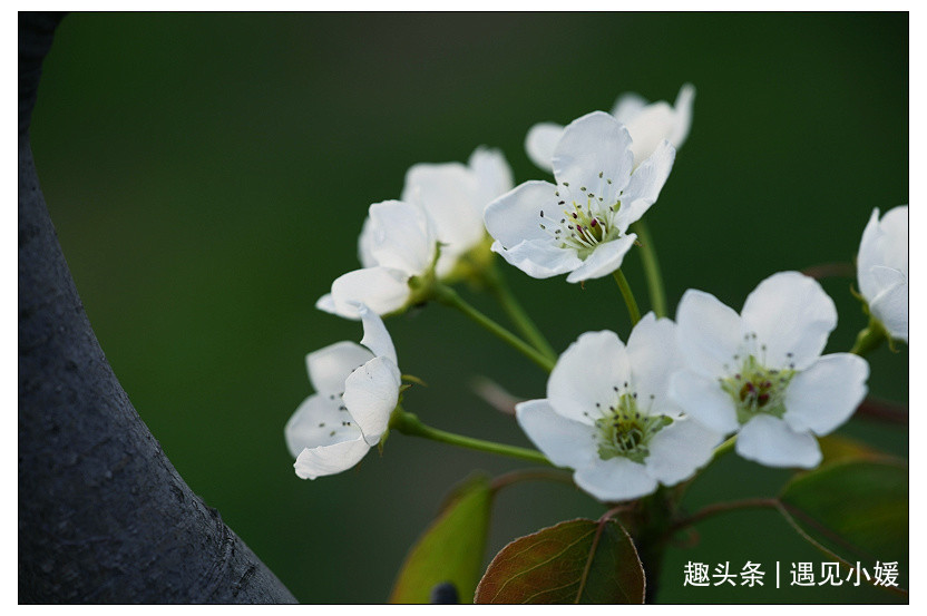 {0A7834E9-A1CF-4F44-927F-04451136F152}.jpg