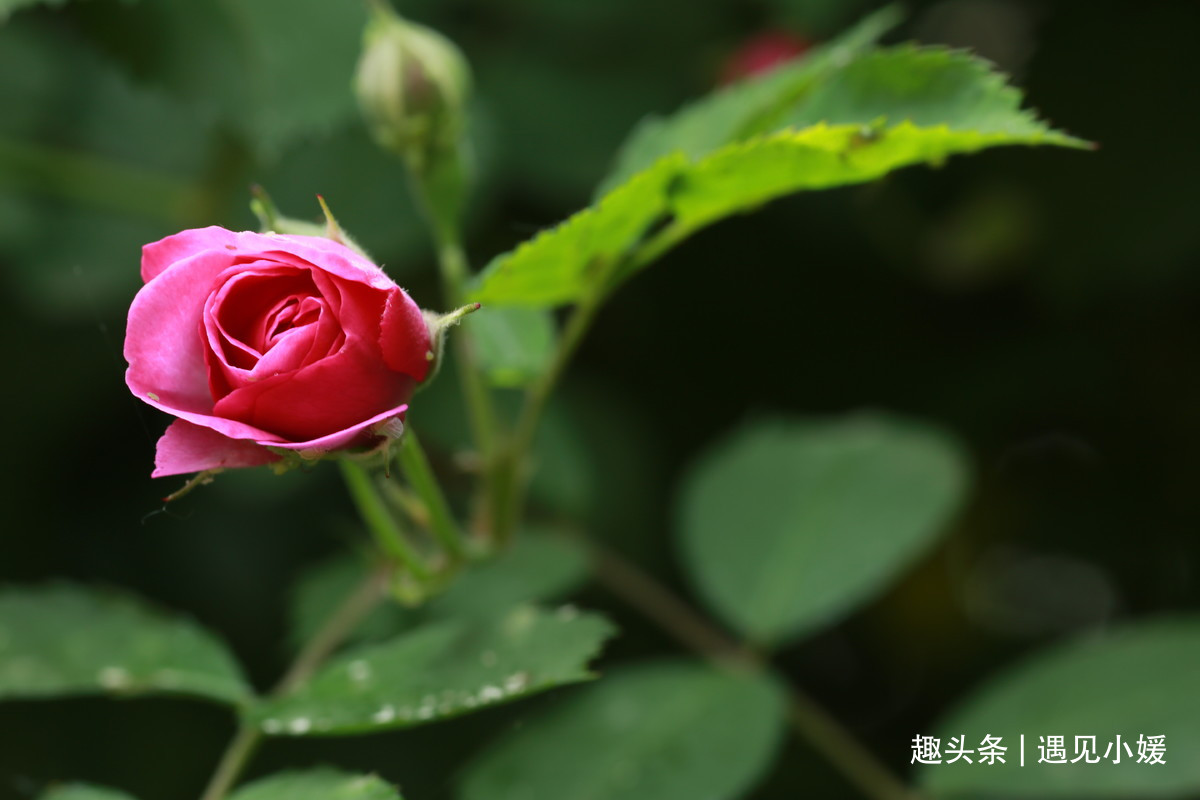 {CBC4580B-AD9B-477F-9870-6FB73172ADE9}.jpg