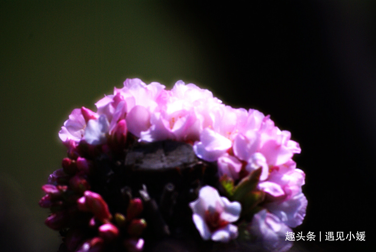 {D848D1F6-5D43-4B69-B48D-A18027DE1BC0}.jpg