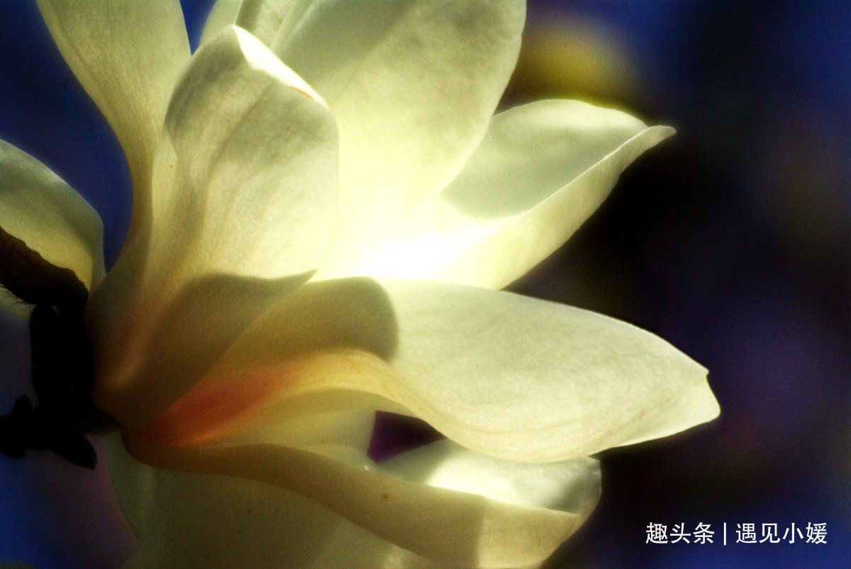{4C8D7781-6089-4534-8D31-07AA86B78AF7}.jpg
