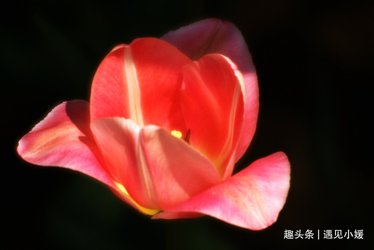 {EE9FE54F-0950-410D-95B0-51C8212B142C}.jpg