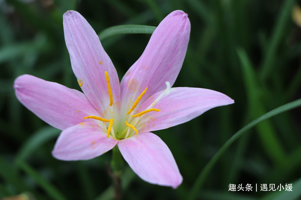 {BCB112B6-9AF7-4480-B9CF-47C2365A2652}.jpg