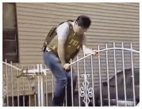3.gif