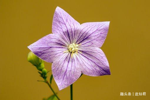 be2db70199cc52d50c7db873bdc89f44.jpg