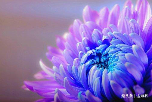 d0c11c3eaed657825fd52cd3ce283a46.jpg