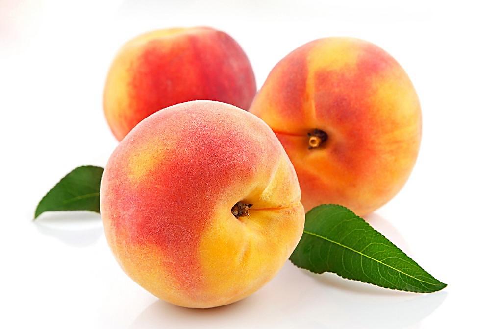 ӵ;ЩӶĺô