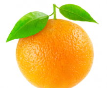 橙子是否适合多吃橙子属于寒性吗